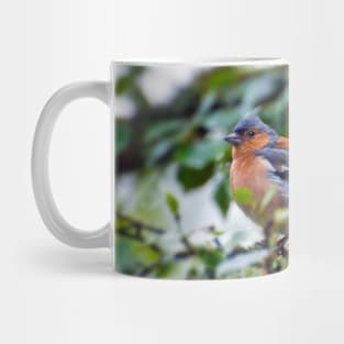 Little Chaffinch Mug